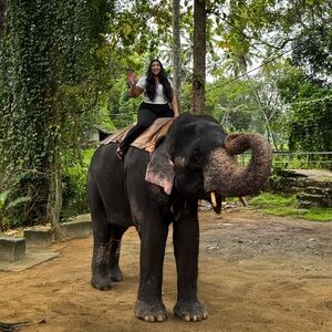 Meet your Posher, Emily